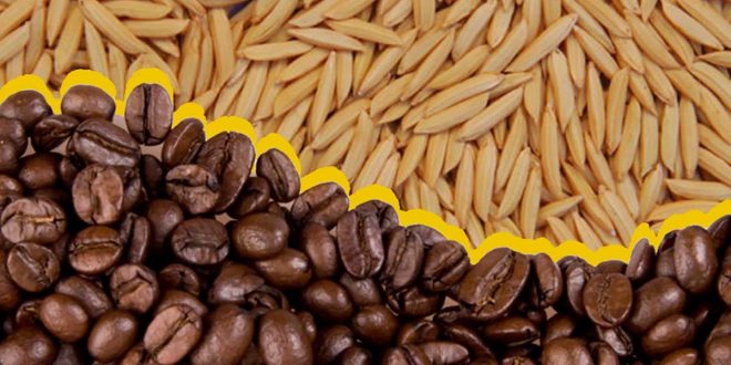 Pesquisa brasileira descobre que cascas de arroz e café tratam lixo radioativo